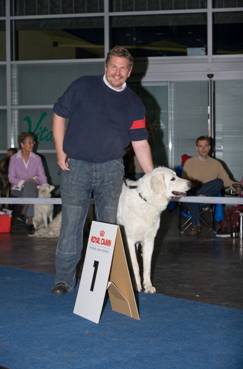 Kuvasz Ausstellungen aktuell