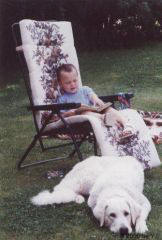 Kuvaszzucht Feh�r Cimbor�k